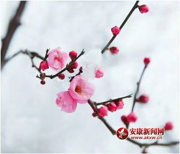 ���L�L�w���������l��һ���փɰ���