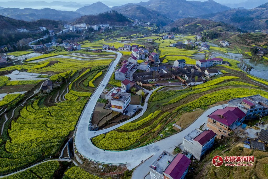 ���P�ߴ�ɫ���zӰ��Ƥ�¾S���Ԓ���h��13325355508���Ĕz�����ʡ�hꎿh���u�(zh��n)�P�߹������� - ����.JPG