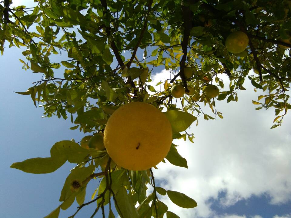 ���^(gu��) ����