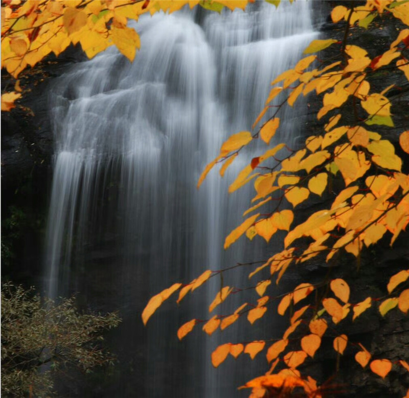 ���~�o��