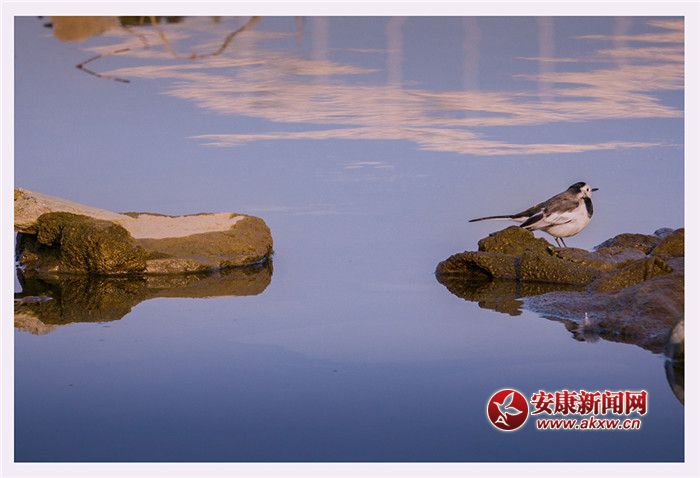 ��ˮ��һɫ���zӰ��Ƥ�¾S���f��������Ƭ��2017��12��3�������ʡ�����Нh�����Ĕz�ģ�չ�F(xi��n)�����õ����B(t��i)�h(hu��n)����(li��n)ϵ�Ԓ��