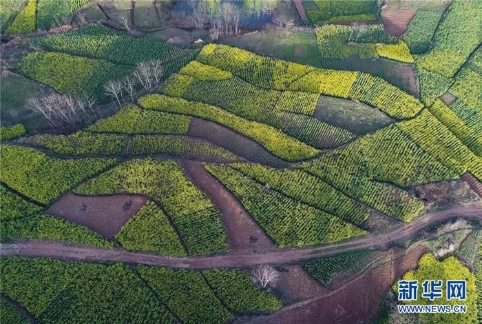 �������hꎽ�ɫ�Ͳ˻���