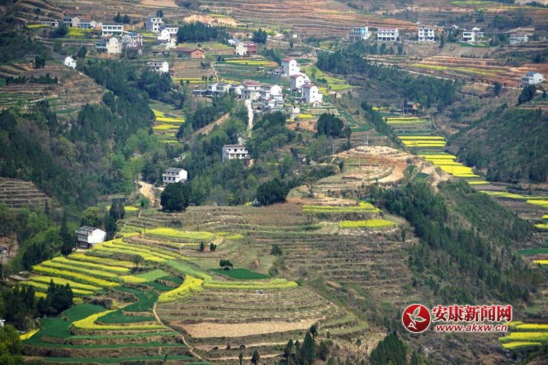 �D2.�����������̎�����(n��i)ꑸ��������߁���ɽ����ɽ����ɽ��������ص�6�N���ε�ò���c�����˷�����Ϣ���@����˂����ò����