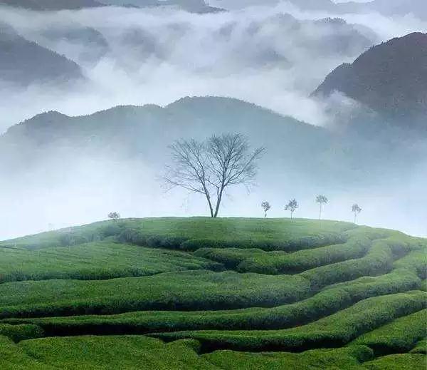 �����˵��(zh��n)ƺ�ƺ�