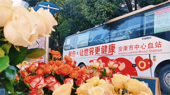 安康這三兄妹，熱血！