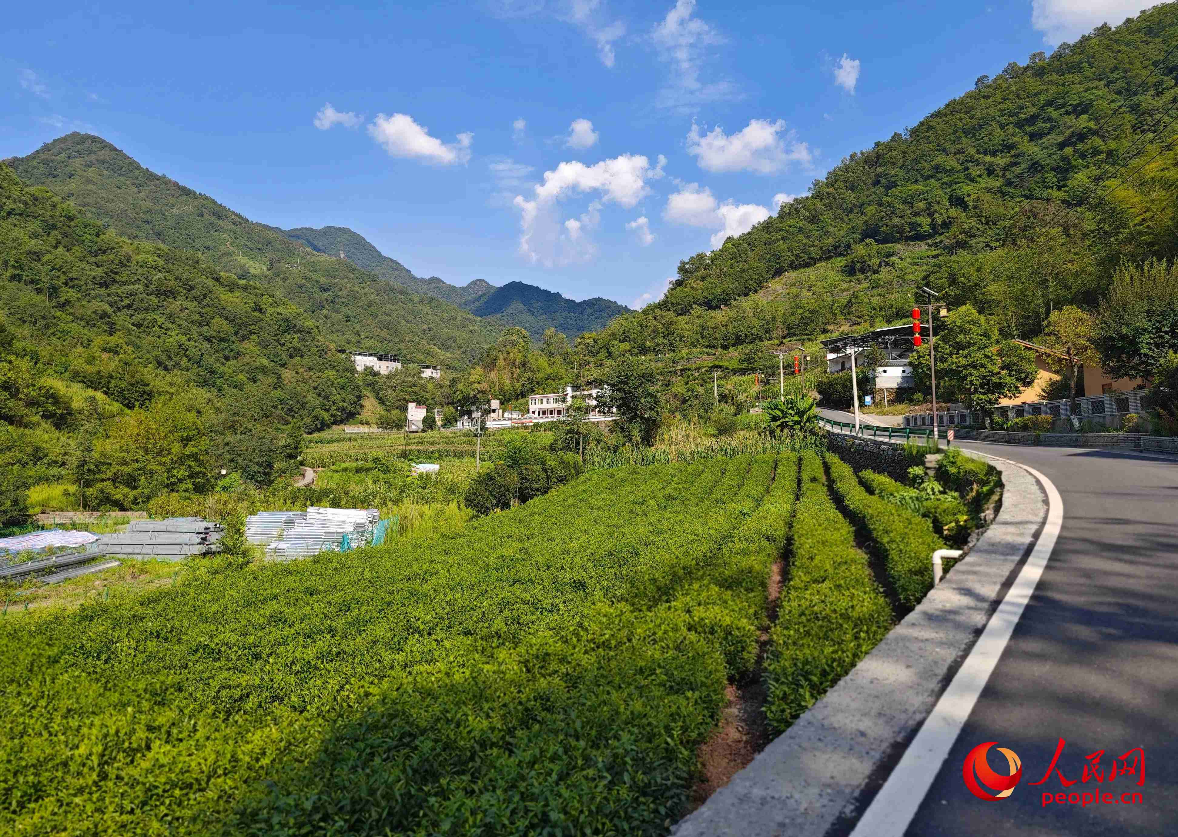 里端溝旁的鳳凰村。人民網(wǎng)記者 黃鈺攝